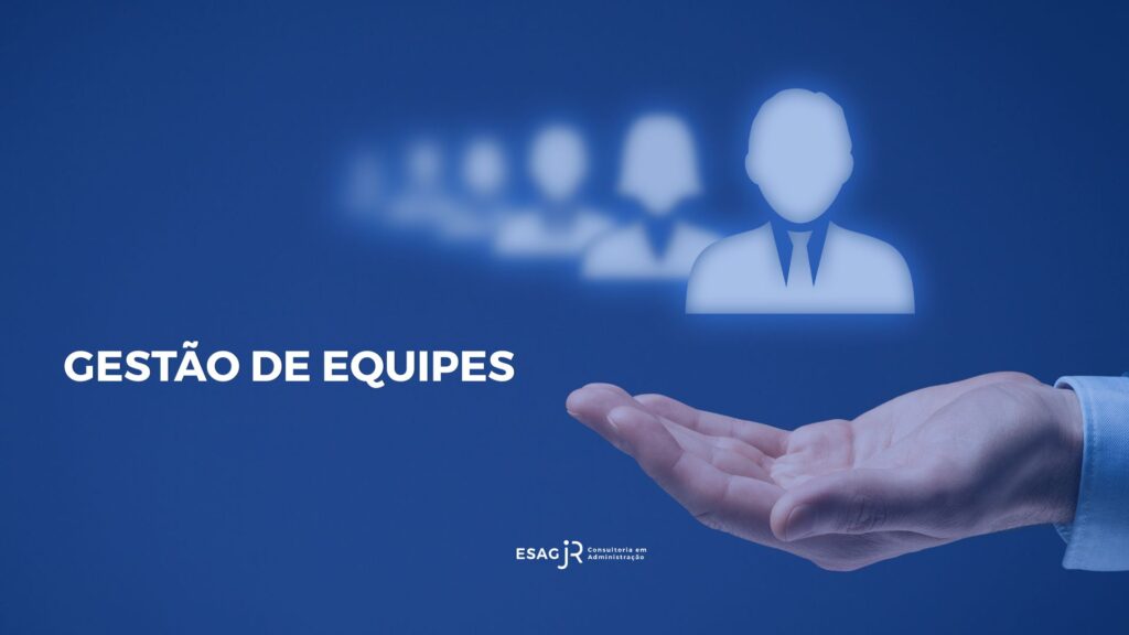 GESTAO DE EQUIPES