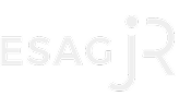 logo footer