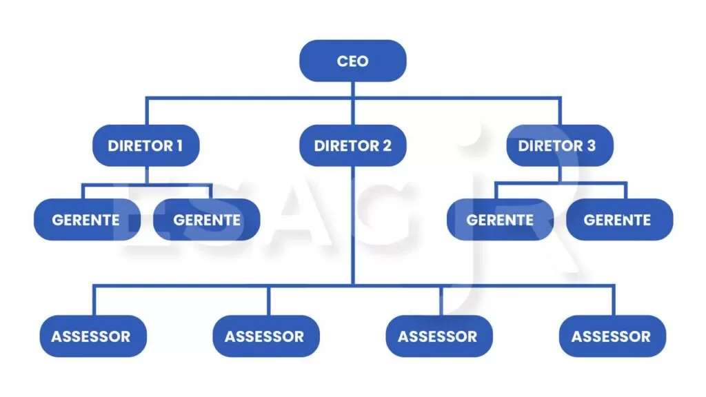 Organograma, Estrutura Organizacional